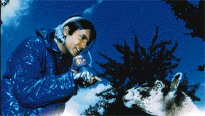 Jas Mann of Babylon Zoo