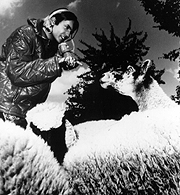 Jas Mann of Babylon Zoo